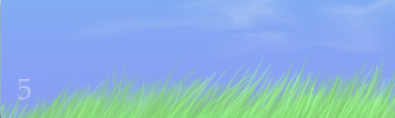 Photoshop Tutorial Schritt 5
